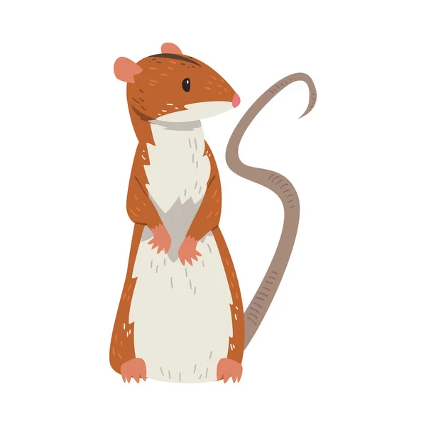 Field Mouse Standing on Hind Legs, Red Rodent Animal Vector Illustration — Stock Vector