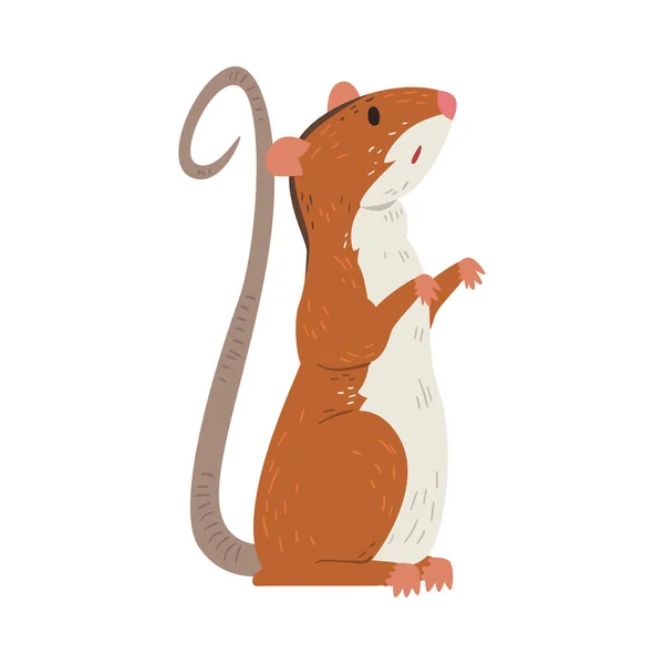 Field Mouse Standing on Hind Legs, Adorable Red Rodent Animal Vector Illustration — Stock Vector