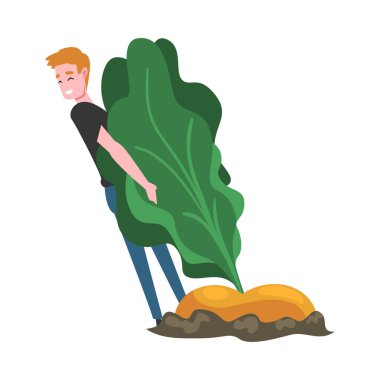 Büyük Şalgam Kökü Çeken Genç Adam, Doğal Organik Sebze İllüstrasyonlu Kadın Çiftçi Karakteri