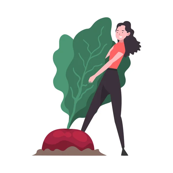 Ragazza che tira grande radice di barbabietola, personaggio contadino femminile con illustrazione vettoriale vegetale biologica naturale — Vettoriale Stock