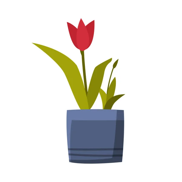 Tulip Flower in Flowerpot Flat Style Vector Illustration on White Background — стоковий вектор