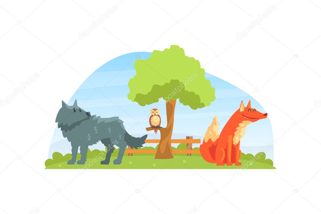 Wild Animals on Beautiful Natural Landscape, Wolf, Fox and Owl in the Zoo or Safari Park Vector Illustration