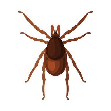 Mite Tick Böcek, Böcek Kontrol ve İmha Konsepti Beyaz Arkaplanda Vektör Resimleri