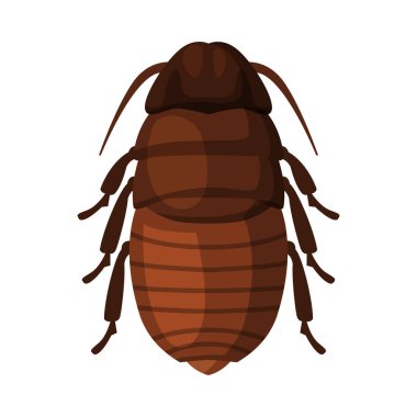 Siyah Hamamböceği Böceği, Böcek Kontrol ve İmha Konsepti Beyaz Arkaplanda Vektör İllüzyonu