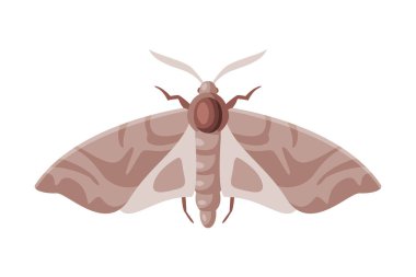 Giysiler Güve Kanatlı Böcek, Böcek Kontrol ve İmha Etme Kavramı Beyaz Arkaplan Resimleri