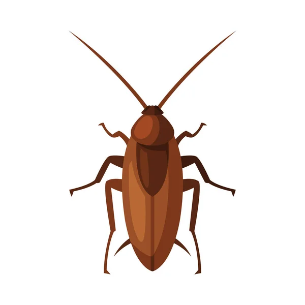 Red Cockroach Insect, Pest Control and Externition Conceptベクトルイラスト:ホワイト背景 — ストックベクタ