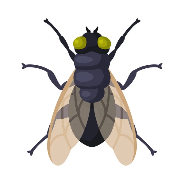 Vliegen Insect, Ongediertebestrijding en uitroeiing Concept Vector Illustratie op witte achtergrond — Stockvector