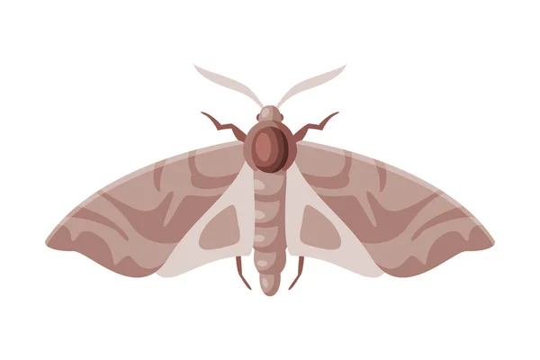 Clothes Moth Winged Insect, Pest Control and Extermination Concept Vector Illustration on White Background — Stock Vector