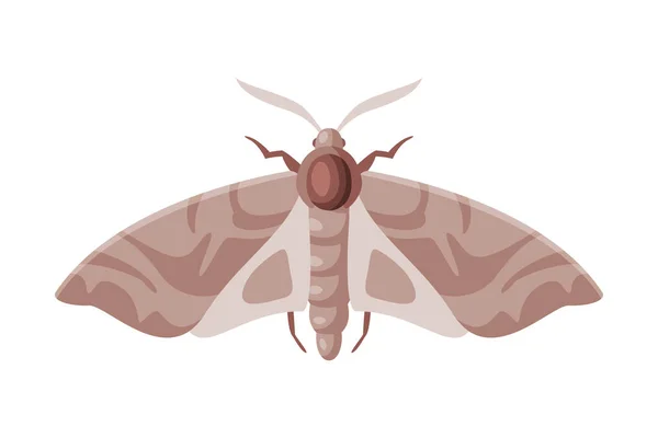 Moth Winged Insect, Pest Control and Extermination Concept Illustration vectorielle sur fond blanc — Image vectorielle