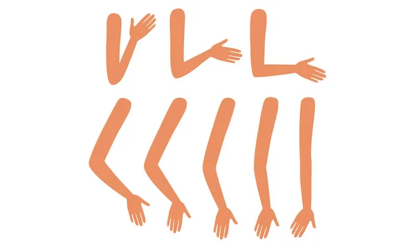 Brazos humanos en varias posesiones, Parte del cuerpo masculino o femenino, Constructor para animación Dibujos animados Estilo Vector Ilustración — Vector de stock