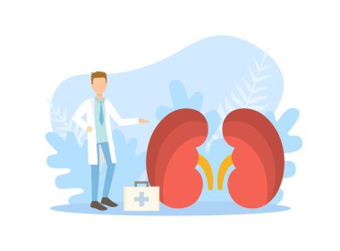 Minik Doktorlar Büyük Böbrekleri İncelerken, Doktor Tıbbi Araştırma Vektörü İllüstrasyonu