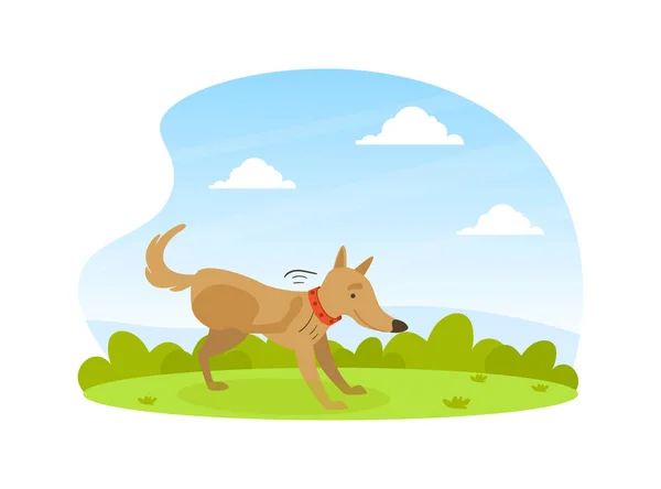 Lindo perro rascando su pata en el césped en el patio trasero en el hermoso paisaje de verano plana Vector Ilustración — Vector de stock