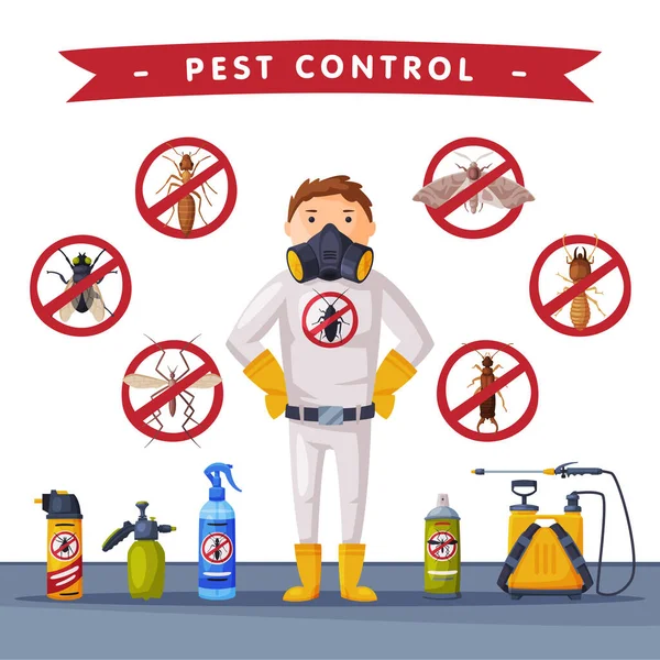 Szakmai Home Pest Service Banner Template, Detecting, Exterminating and Protecting Vector Illustration — Stock Vector