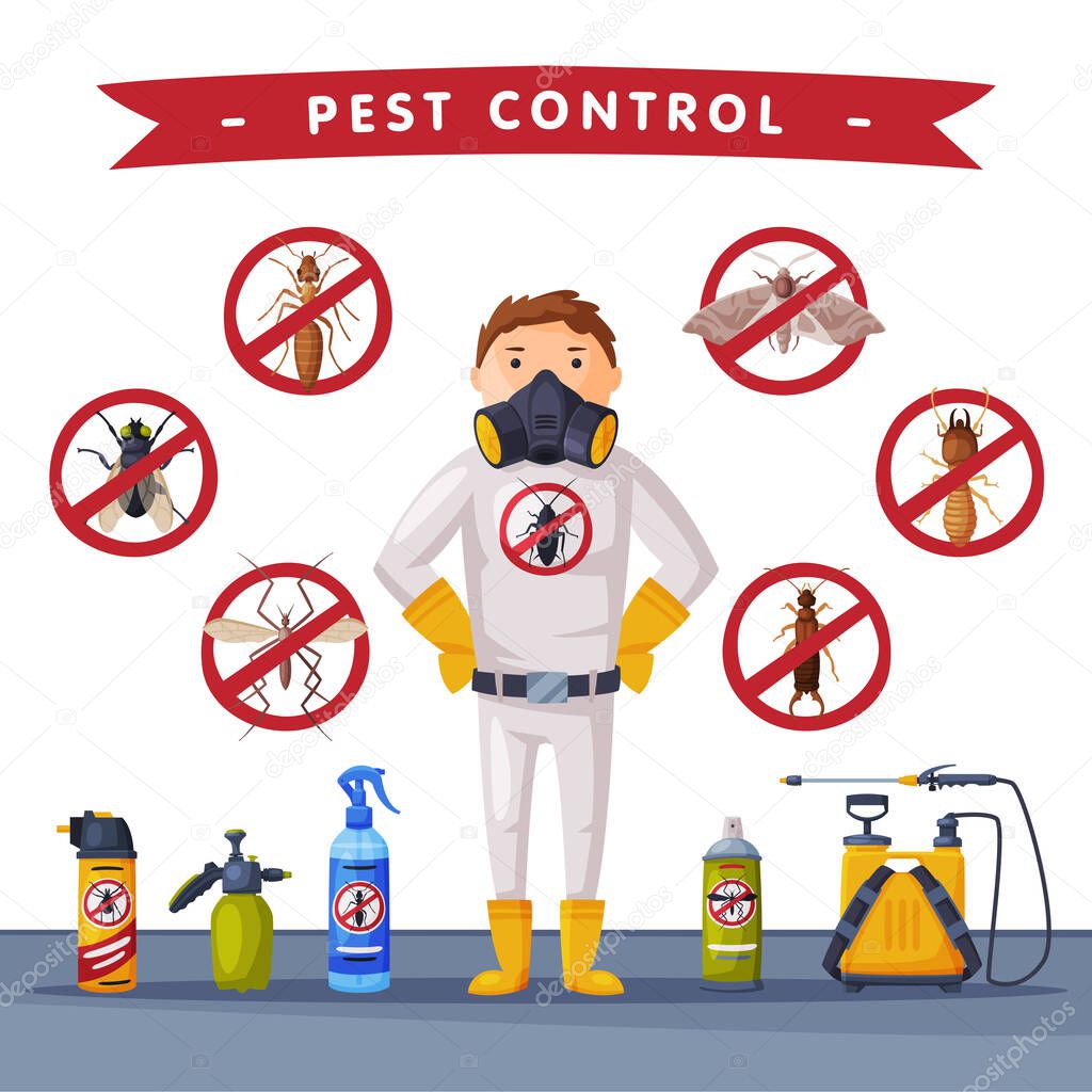 Professional Home Pest Service Banner Template, Detecting, Exterminating and Protecting Vector Illustration