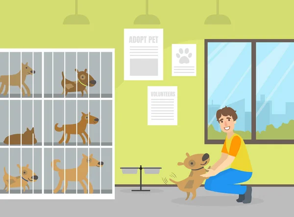 Refugio de animales con perros en jaulas, Hombre voluntario cuidando animales sin hogar Vector Ilustración — Vector de stock