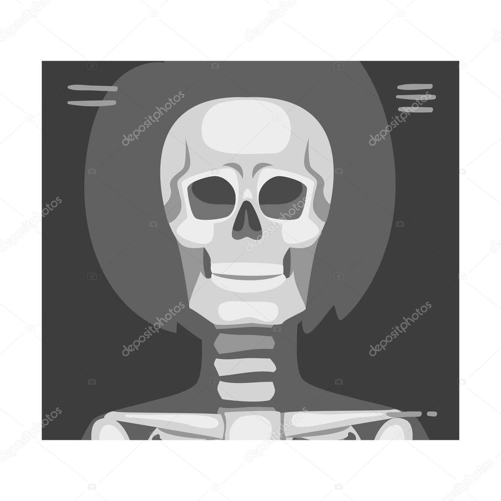 X-ray Film of Front Viewed Skull Vector Illustrated Image for Educational Purpose