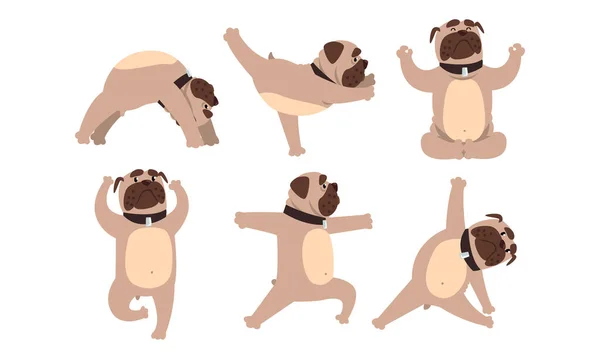 Funny French Bulldog Doing Yoga Set, Roztomilý pes provádějící tělesná cvičení Cartoon Style Vector Illustration — Stockový vektor