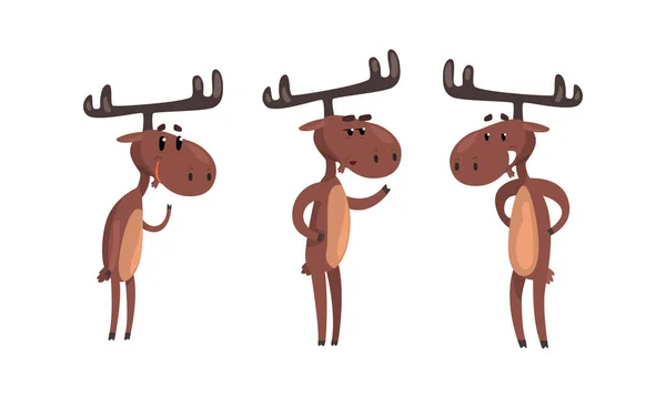 様々なポーズで面白い茶色のムースのセットセット、かわいい野生の森の動物の漫画のキャラクターの足の上に立つ漫画のスタイルベクトルイラスト — ストックベクタ