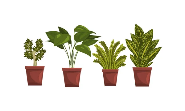 Plantes de maison d'intérieur dans des pots de fleurs ensemble, décoration intérieure de maison ou de bureau Illustration vectorielle — Image vectorielle