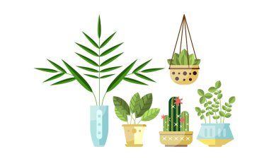 Ev ya da Ofis Dekoratif Bitkiler Seti, Tencere Düz Şekil Vektör İllüstrasyonunda Yeşilli Bitkiler Büyüyor