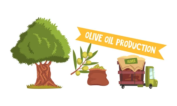 Conjunto de proceso de producción de aceite de oliva, recolección de aceitunas y entrega Dibujos animados Estilo Vector Ilustración — Vector de stock