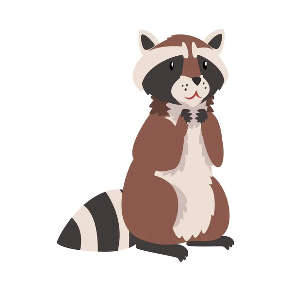 Cute Raccoon, Adorable Wild Forest Animal Cartoon Character Vector Illustration — Stock Vector