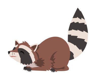 Şirin Sevimli Rakun, Sevimli Vahşi Tüylü Orman Hayvan çizgi film karakteri Vektör İllüzyonu