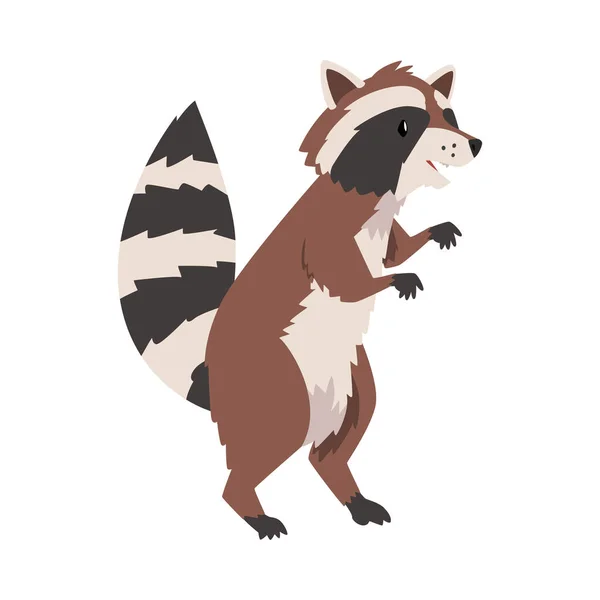 Cute Funny Walking Raccoon, Adtful Wild Furry Forest Animal Cartoon Character Vector Illustration — 스톡 벡터