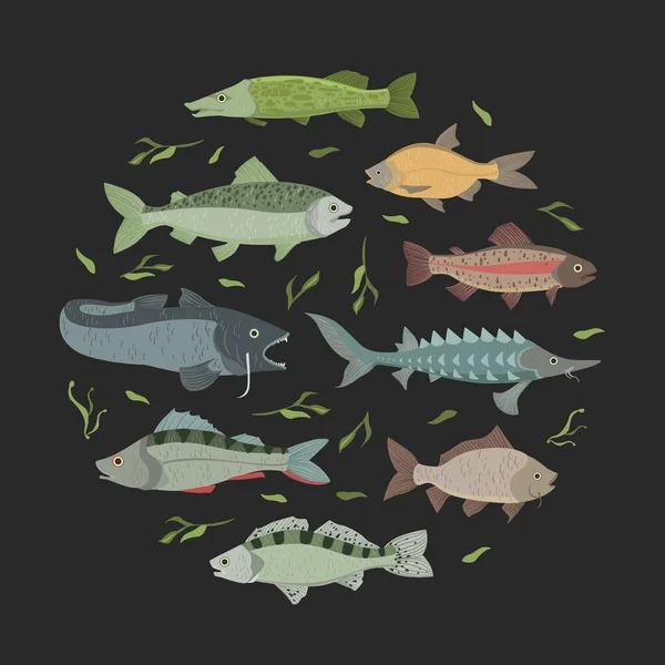 Marine Fish Banner with Fishes Pattern of Round Shape, Seafood Market, Κατάστημα, Μενού, Συσκευασίας Σχεδίαση Επίπεδη Διάνυσμα Εικονογράφηση — Διανυσματικό Αρχείο