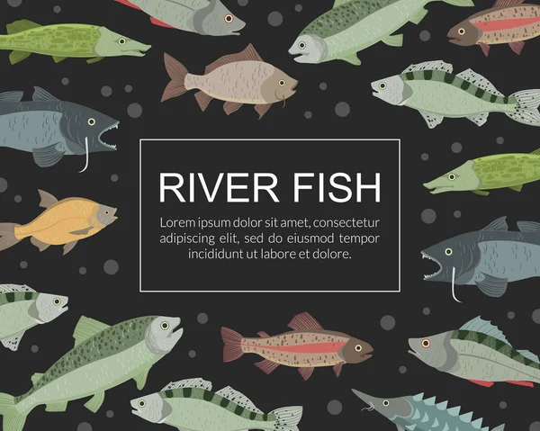 River Fish Banner Șablon, Piața fructelor de mare, Magazin, Meniu, Design ambalaje Flat Vector Illustration — Vector de stoc