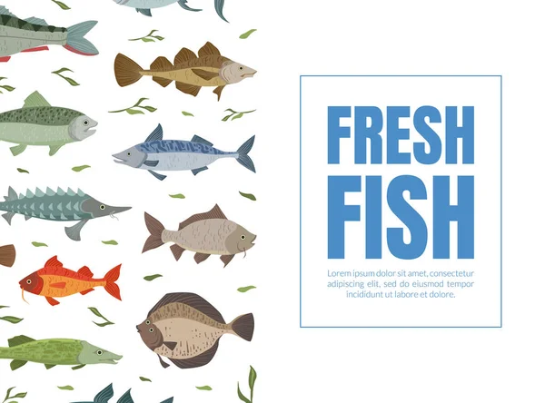 Modello di banner per pesce fresco, mercato dei frutti di mare, menu, design di imballaggio, pesci fluviali e marini Illustrazione vettoriale piatta — Vettoriale Stock