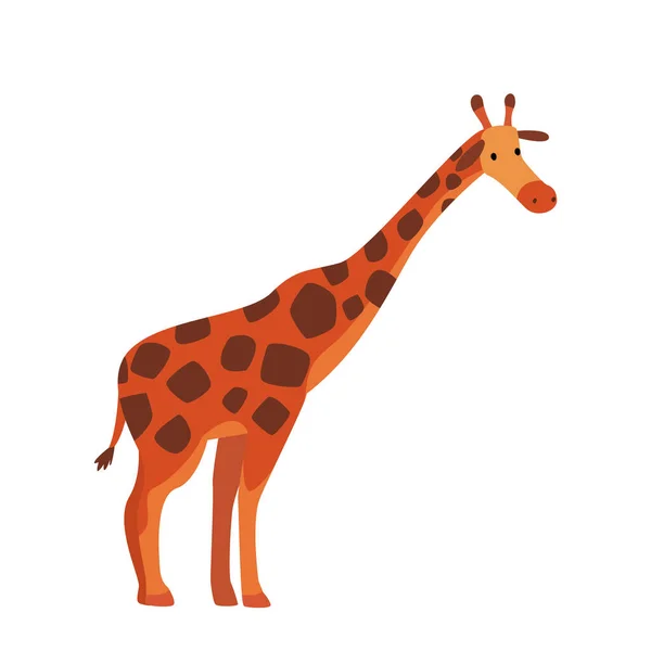 Şirin Zürafa Ormanı Hayvanı, Yan Görünüm, Afrika Safari Seyahat Çizgi Filmi Beyaz Arkaplan Çizimi — Stok Vektör
