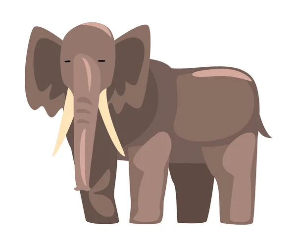 Animal bonito da selva de elefante, Africano Safari Viagem Cartoon Vector Ilustração em fundo branco — Vetor de Stock