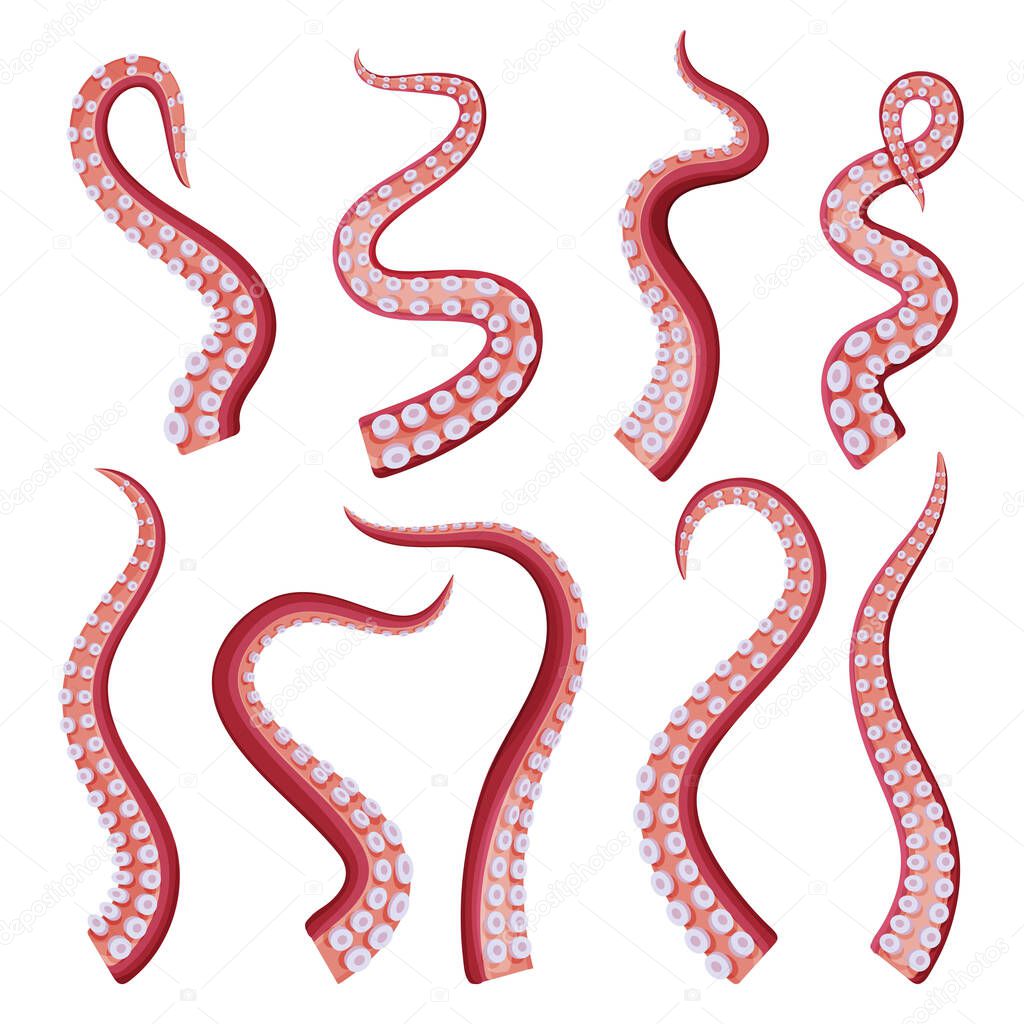 Octopus Tentacles Collection, Underwater Marine Creature Part of Body Vector Illustration