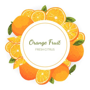 Turuncu Meyve Sancak Şablonu, Dairesel Şekil Vektör Resimlerinin Taze Meyveleri