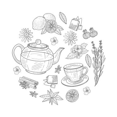 Bitkisel Çay Elementleri Yuvarlak Şekil, Kafe veya Restoran Menüsü, Çay Dükkanı El Çizimi Vektör Çizimi