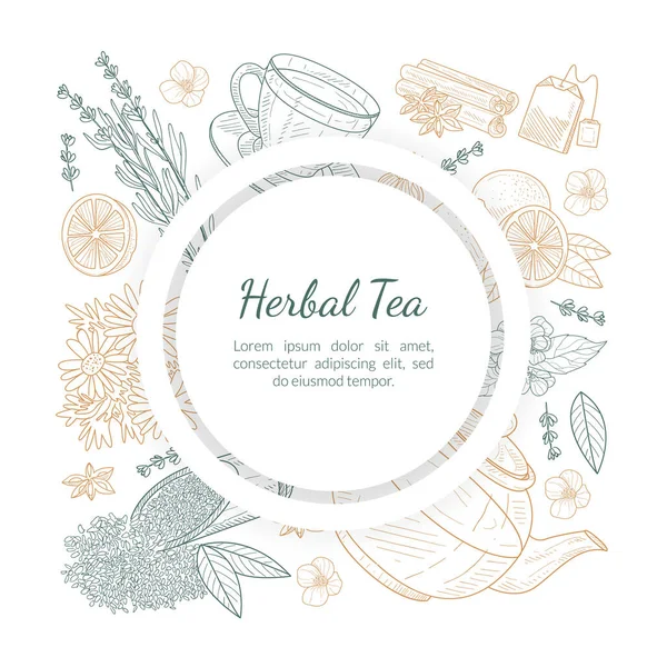 Metin, Kafe, Restoran Menüsü ya da Çay Dükkanı Tasarım El Çizimi Vektör Resimleri İçin Yer Olan Bitkisel Çay Pankartı Şablonu