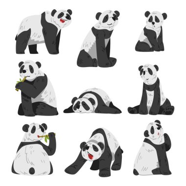 Şirin Komik Panda, Çeşitli Pozisyonlarda Sevimli Vahşi Hayvanlar Beyaz Arkaplanda Çizgi Film Stili Vektör İllüzyonu