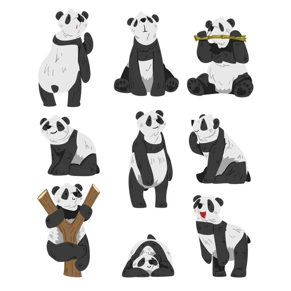 Conjunto bonito de ursos de panda, animais selvagens engraçados em várias posas ilustração vetorial de desenhos animados isolados em fundo branco — Vetor de Stock