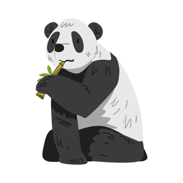 Mignon ours panda assis et grignoter sur le bambou, drôle animal sauvage dessin animé vectoriel Illustration sur fond blanc — Image vectorielle