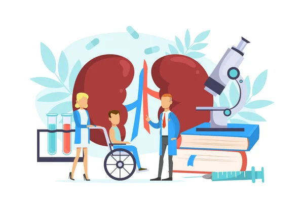 Tiny Doctor Examining Huge Human Kidneys, Doctor Treating Patient in Wheelchair Flat Vector Illustration — Stock Vector