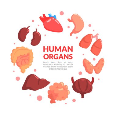 İç Organlar Yuvarlak Çerçeveli İnsan Organları Banner Şablonu, Sağlık için Tıp Bilimi Yeniliği, Nakil, Biyomühendislik Vektör İlülasyonu