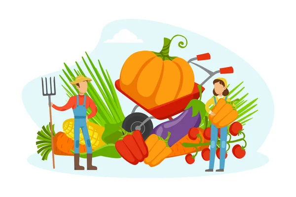 Pequeños agricultores cosechando verduras, agricultura, producción de alimentos saludables Vector Illustration — Archivo Imágenes Vectoriales