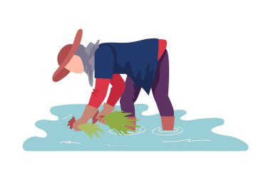 Eldiven Giyen Asyalı Kadın Çiftçi Pirinç Bitkisi Vektörü Çizimi