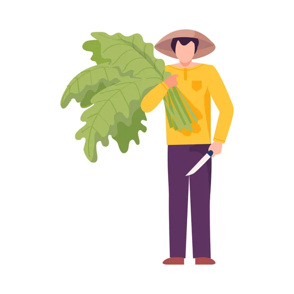 Asian Male Farmer Holding Green Leaves as Agricultural Crop Vector Illustration — Stock Vector