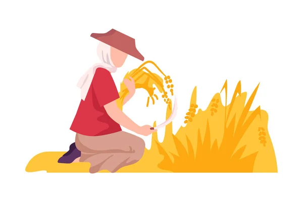 Asijské fena farmář s hákem sklízení ucha pšenice vektorové ilustrace — Stockový vektor