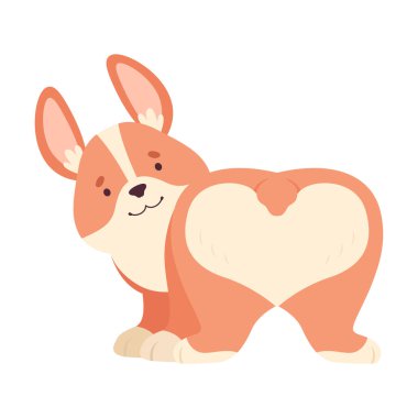 Kısa Bacaklı ve Kahverengi Ceketli Galli Corgi Alt Vektör Resmini Gösteriyor