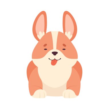 Kısa Bacaklı ve Kahverengi Ceketli Galli Corgi Oturan Poz Vektörü Çizimi