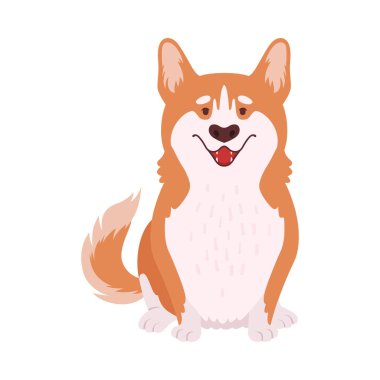 Kısa bacaklı Galli Corgi Kahverengi Ceketli Oturan Poz Vektörü Çizimi