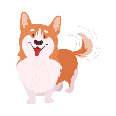 Kısa bacaklı Galli Corgi Kahverengi Ceketli Ayakta Poz Vektörü İllüstrasyonu